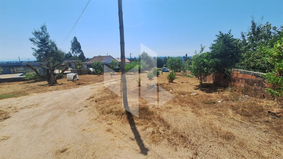 Terreno para Venda em Treixedo e Nagozela Foto 6