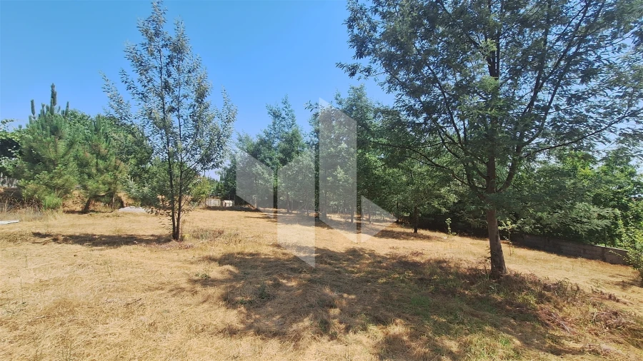 Terreno para Venda em Treixedo e Nagozela Foto 8