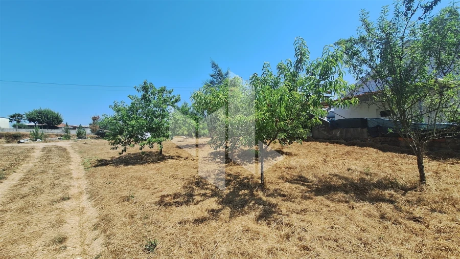 Terreno para Venda em Treixedo e Nagozela Foto 3