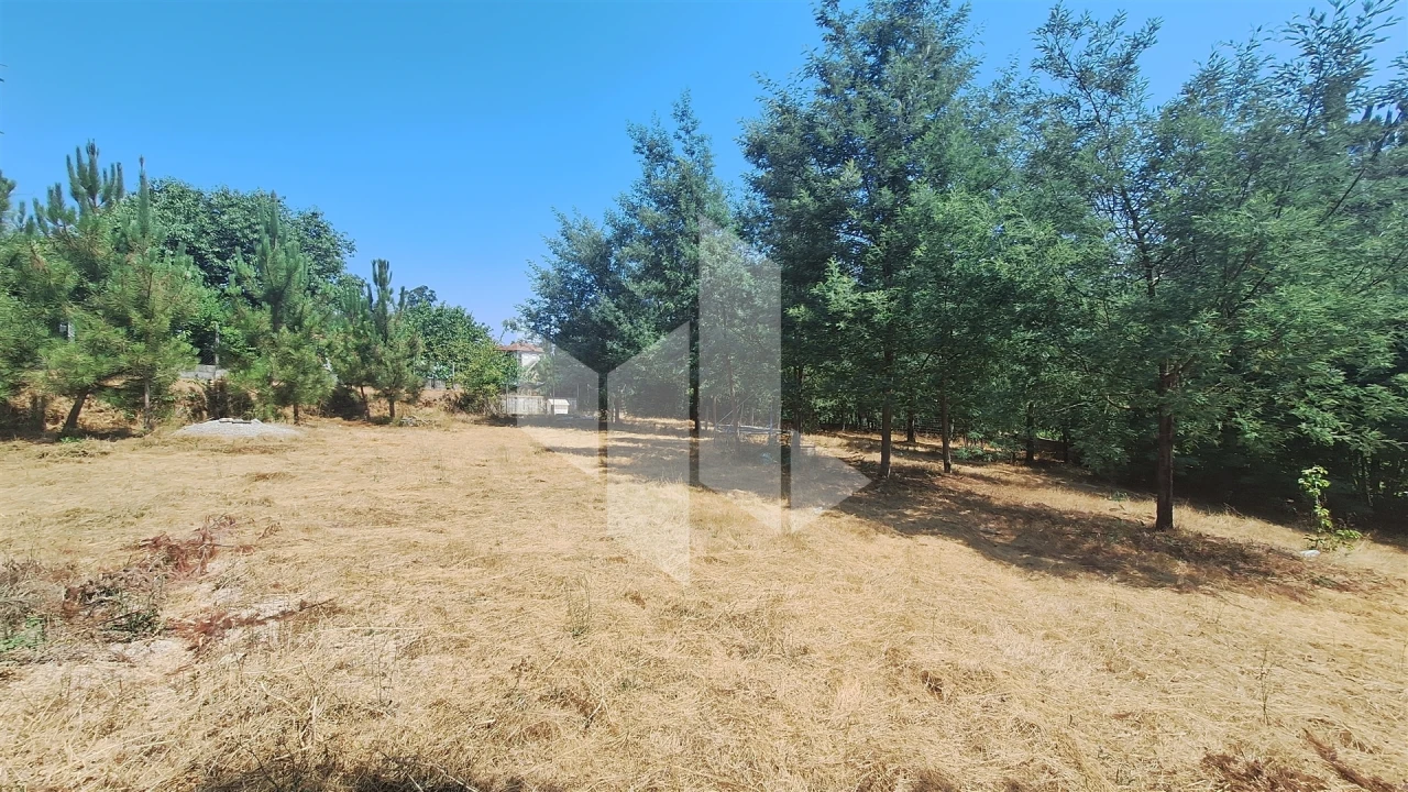 Terreno para Venda em Treixedo e Nagozela Foto 2