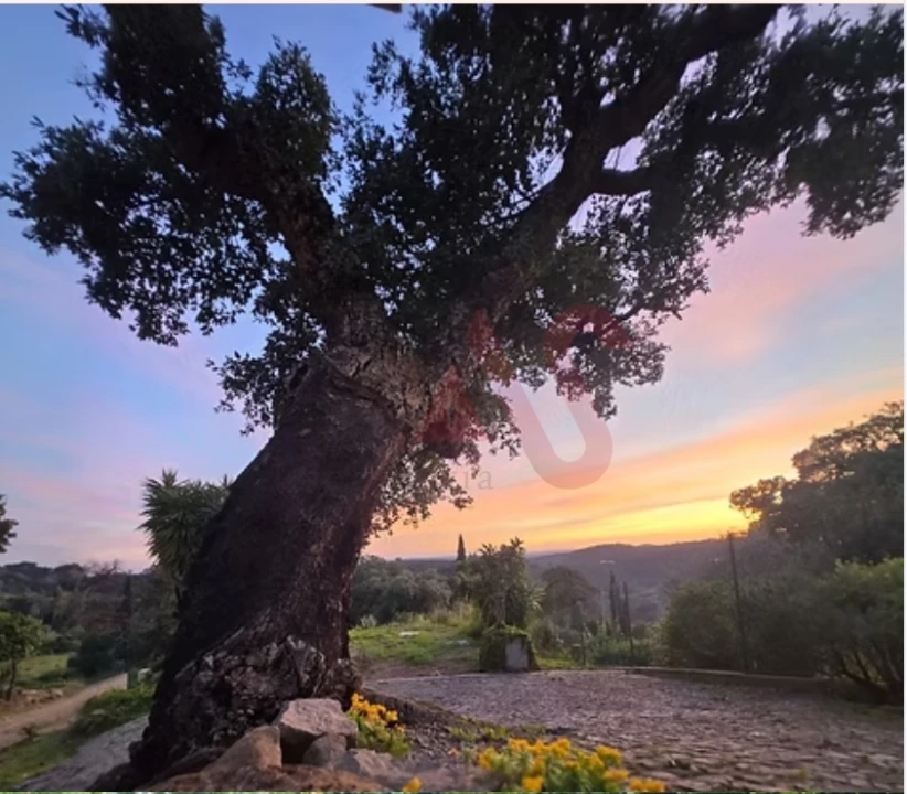 Moradia T5 para Venda em Monchique Foto 41