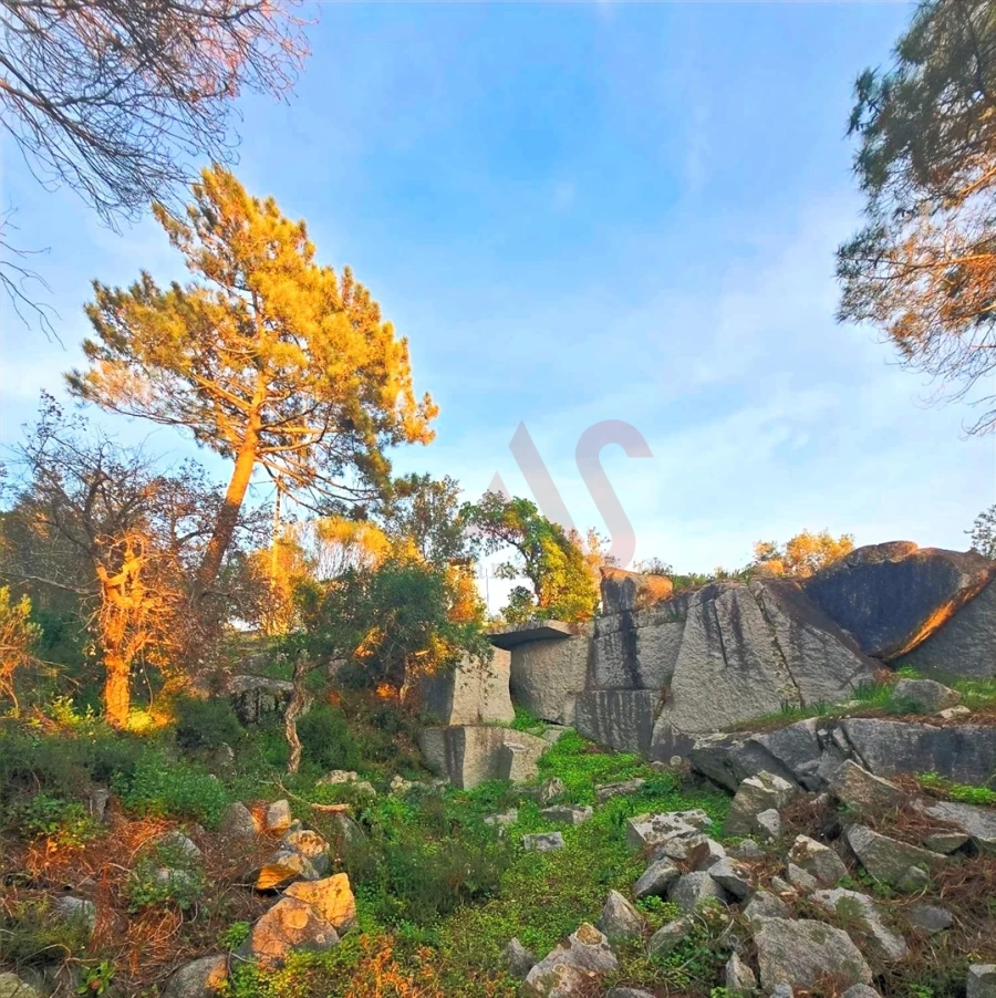 Moradia T5 para Venda em Monchique Foto 38