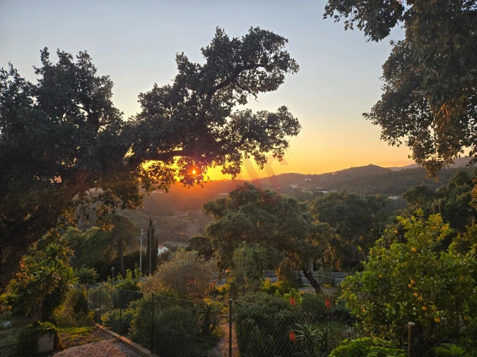 Moradia T5 para Venda em Monchique Foto 39