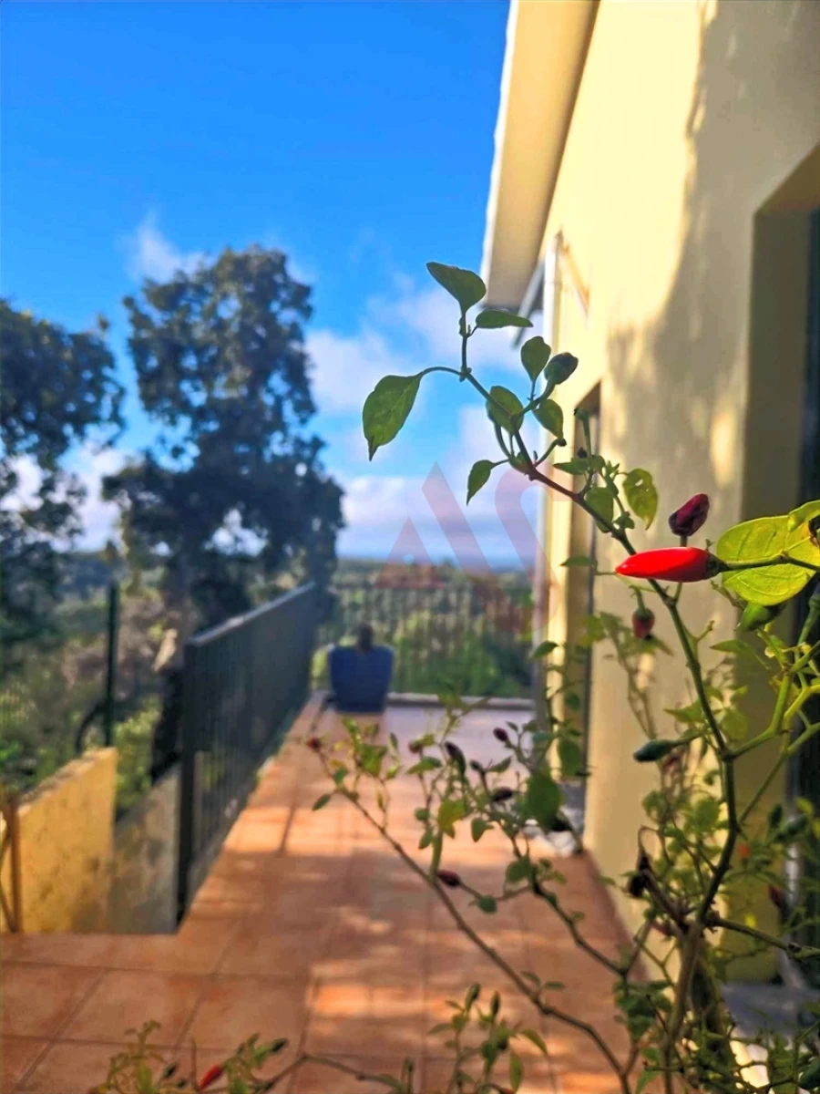 Moradia T5 para Venda em Monchique Foto 37