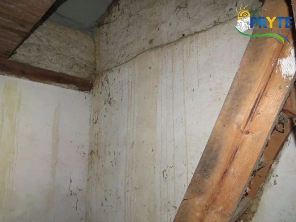 Quinta T3 para Venda em Oleiros-Amieira Foto 10