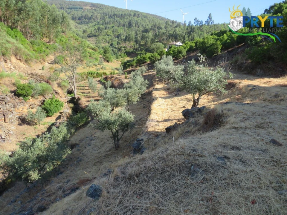 Quinta T3 para Venda em Oleiros-Amieira Foto 29