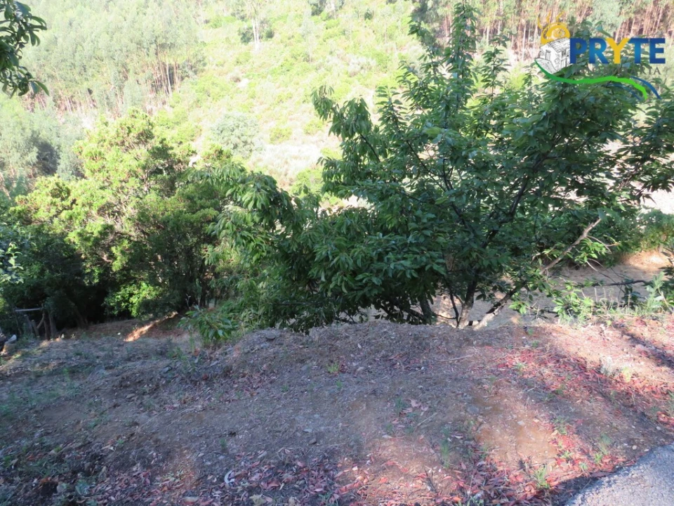 Quinta T3 para Venda em Oleiros-Amieira Foto 37