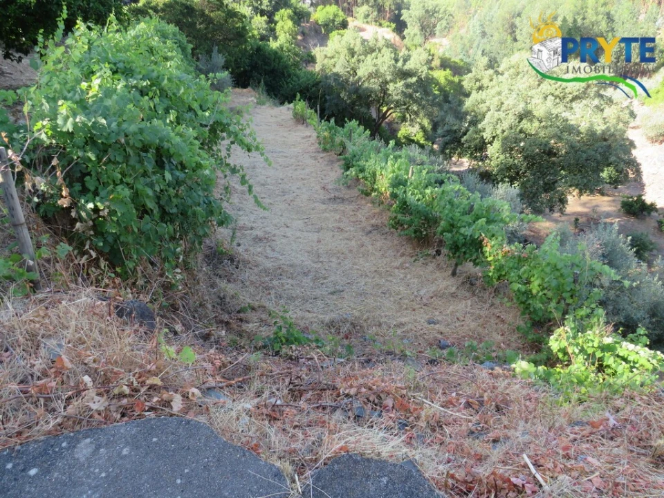Quinta T3 para Venda em Oleiros-Amieira Foto 39