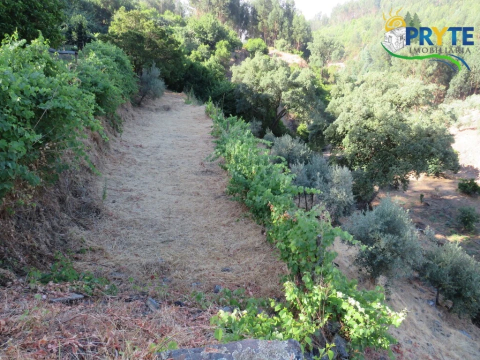 Quinta T3 para Venda em Oleiros-Amieira Foto 40