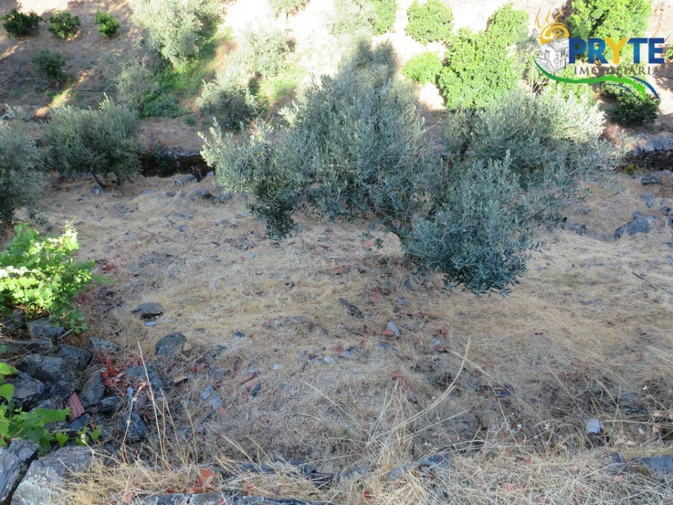 Quinta T3 para Venda em Oleiros-Amieira Foto 41