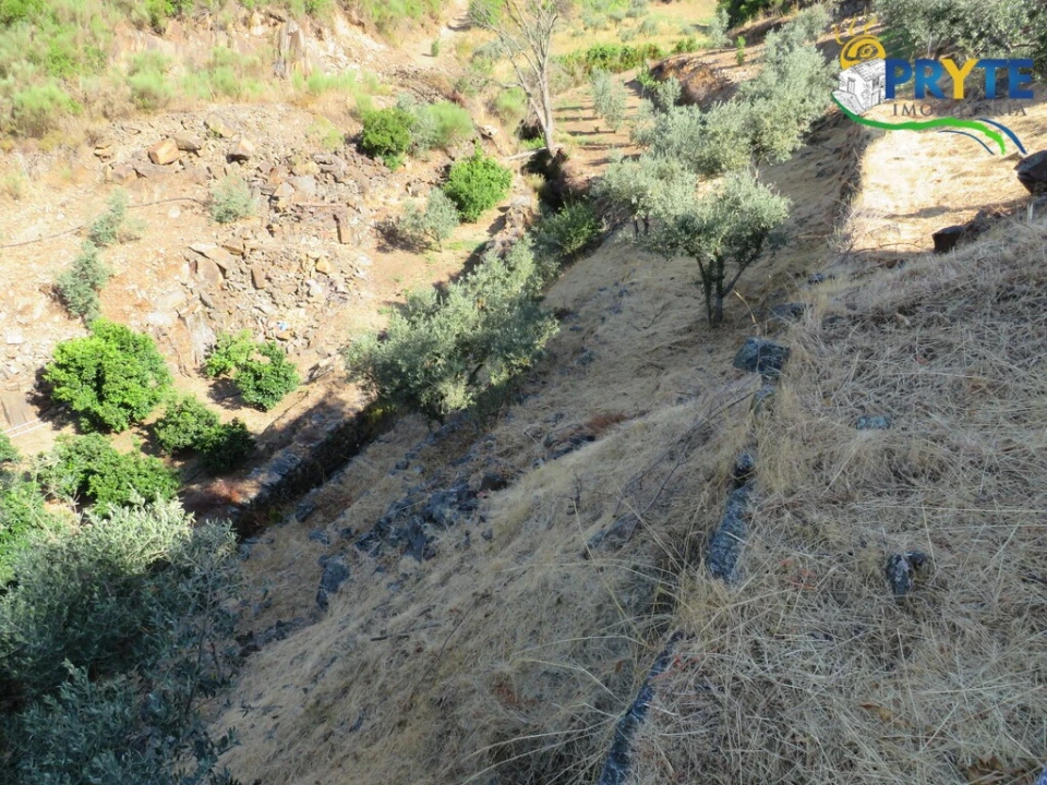 Quinta T3 para Venda em Oleiros-Amieira Foto 42