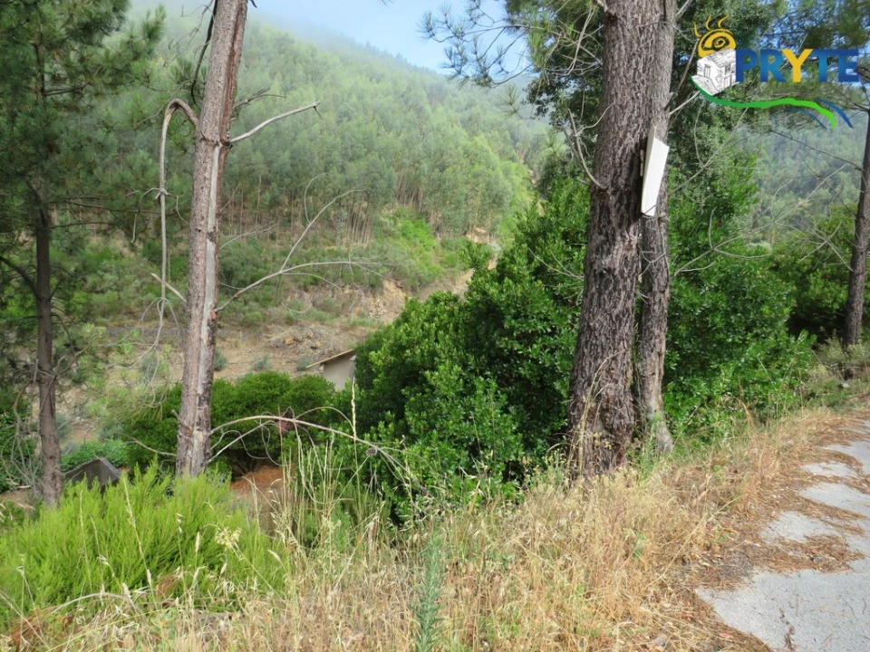 Quinta T3 para Venda em Oleiros-Amieira Foto 54