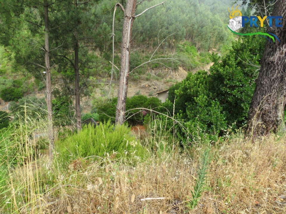 Quinta T3 para Venda em Oleiros-Amieira Foto 55