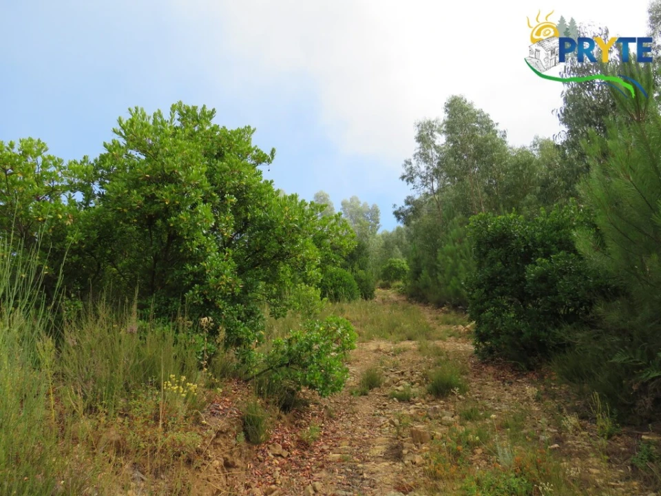 Quinta T3 para Venda em Oleiros-Amieira Foto 56