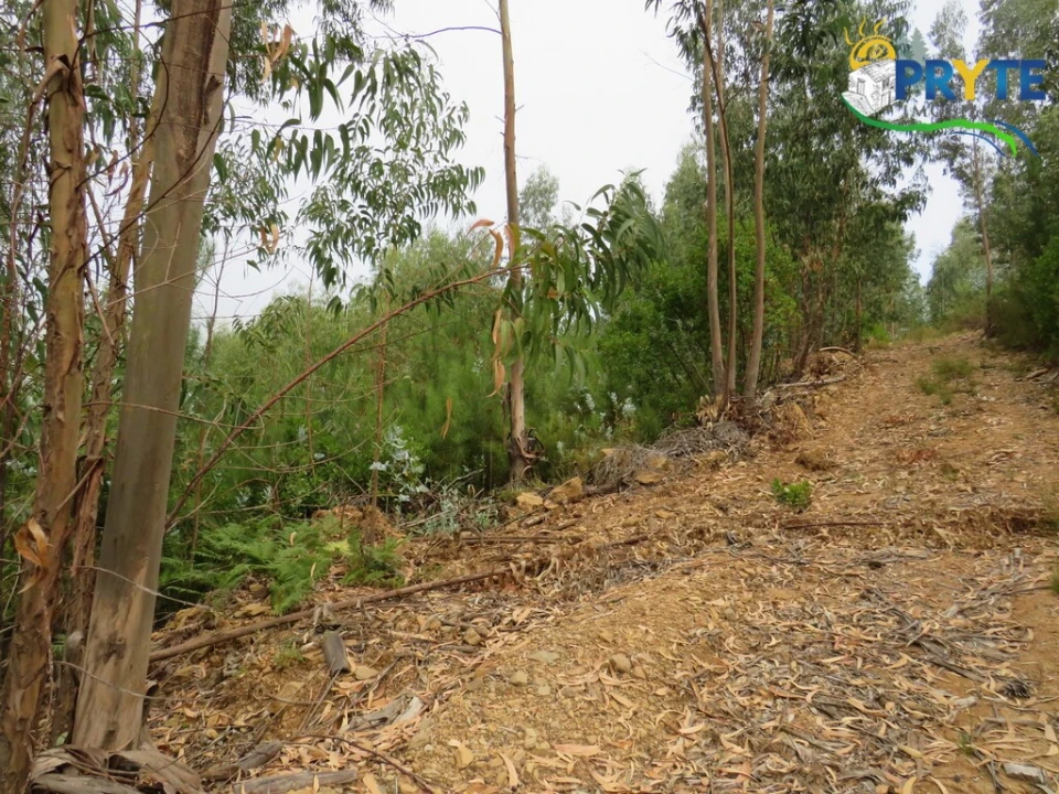 Quinta T3 para Venda em Oleiros-Amieira Foto 58