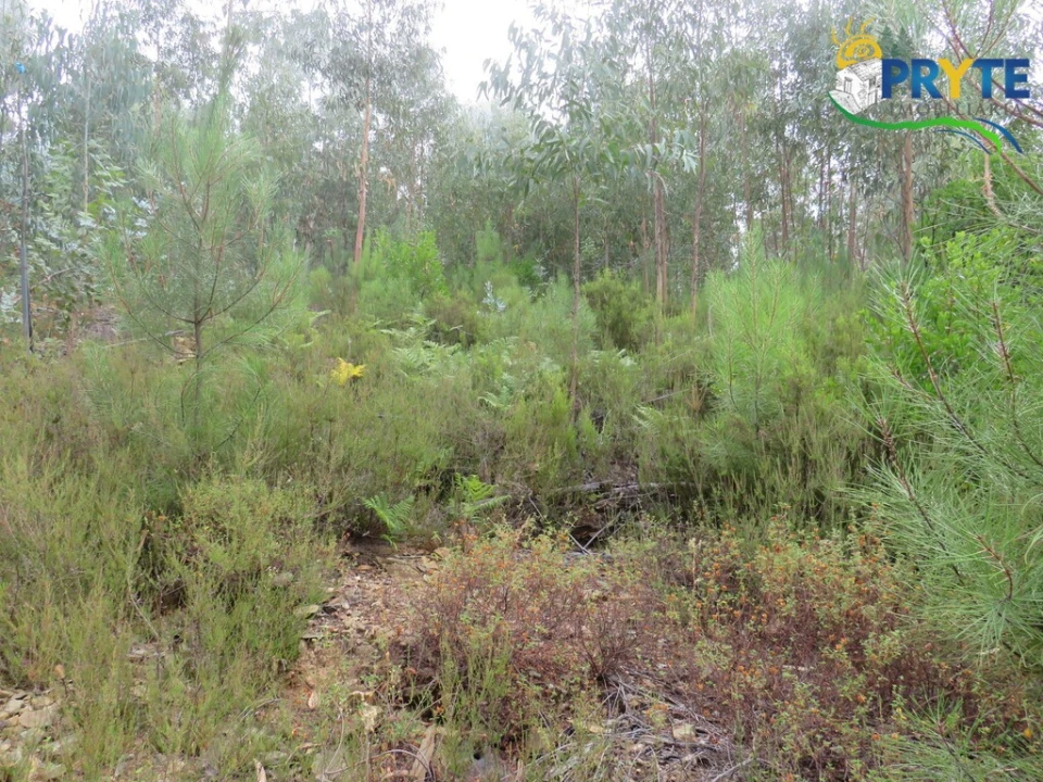 Quinta T3 para Venda em Oleiros-Amieira Foto 60