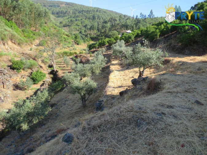 Quinta T3 para Venda em Oleiros-Amieira Foto 29