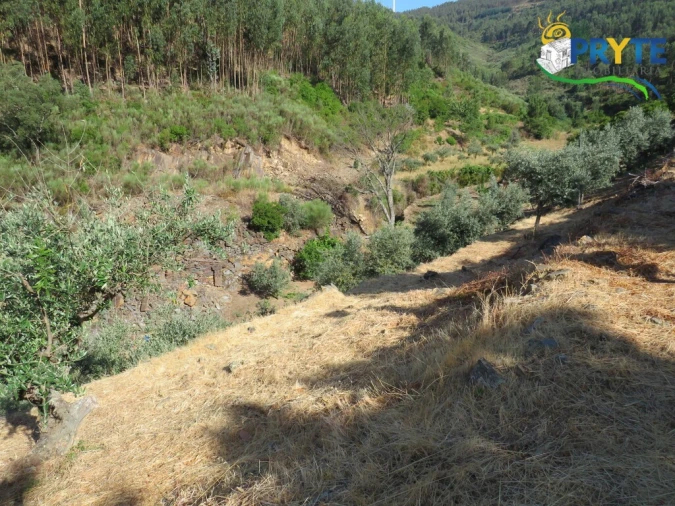 Quinta T3 para Venda em Oleiros-Amieira Foto 31