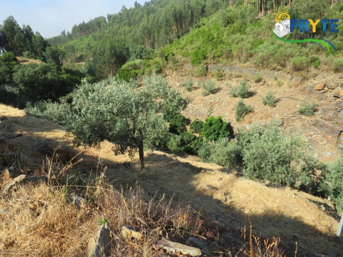 Quinta T3 para Venda em Oleiros-Amieira Foto 32