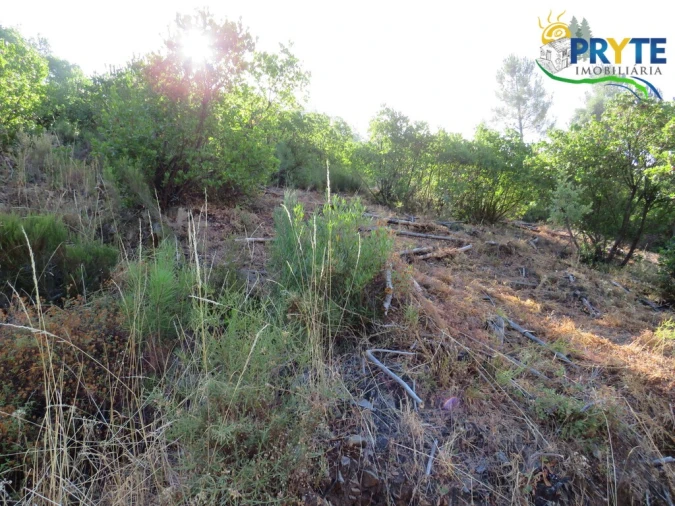 Quinta T3 para Venda em Oleiros-Amieira Foto 33