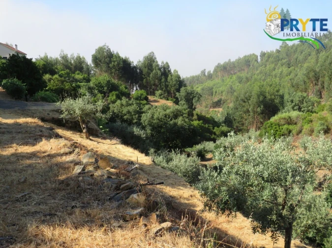 Quinta T3 para Venda em Oleiros-Amieira Foto 34