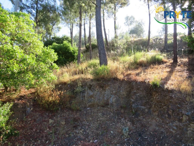 Quinta T3 para Venda em Oleiros-Amieira Foto 38