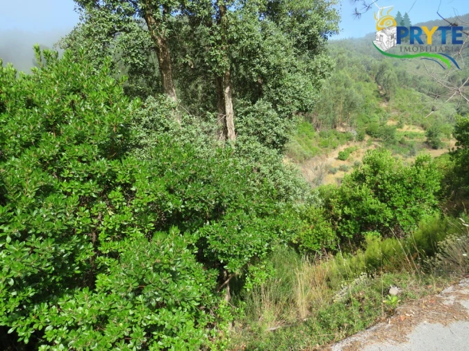 Quinta T3 para Venda em Oleiros-Amieira Foto 44