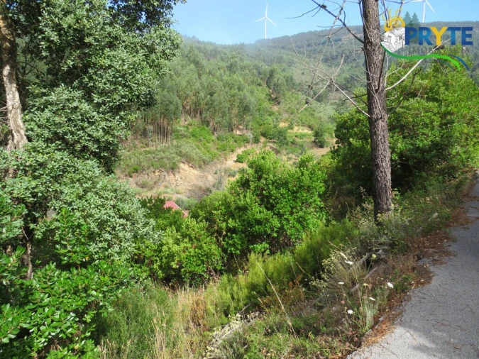 Quinta T3 para Venda em Oleiros-Amieira Foto 45