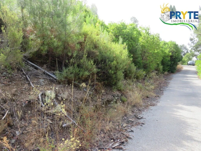 Quinta T3 para Venda em Oleiros-Amieira Foto 47