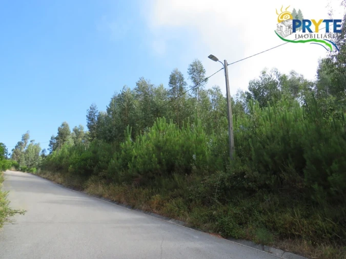 Quinta T3 para Venda em Oleiros-Amieira Foto 51