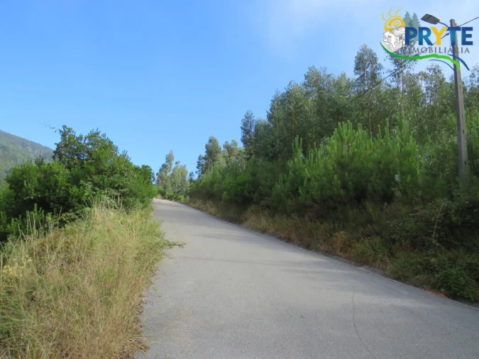 Quinta T3 para Venda em Oleiros-Amieira Foto 52