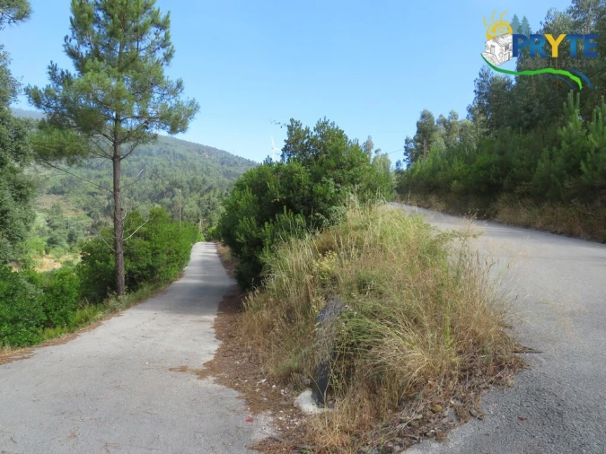 Quinta T3 para Venda em Oleiros-Amieira Foto 53