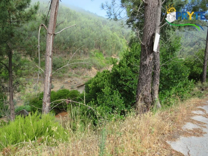 Quinta T3 para Venda em Oleiros-Amieira Foto 54