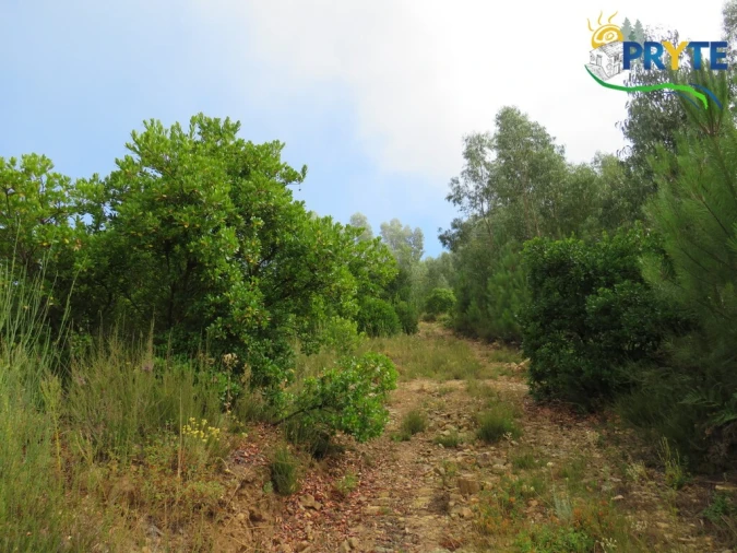 Quinta T3 para Venda em Oleiros-Amieira Foto 56