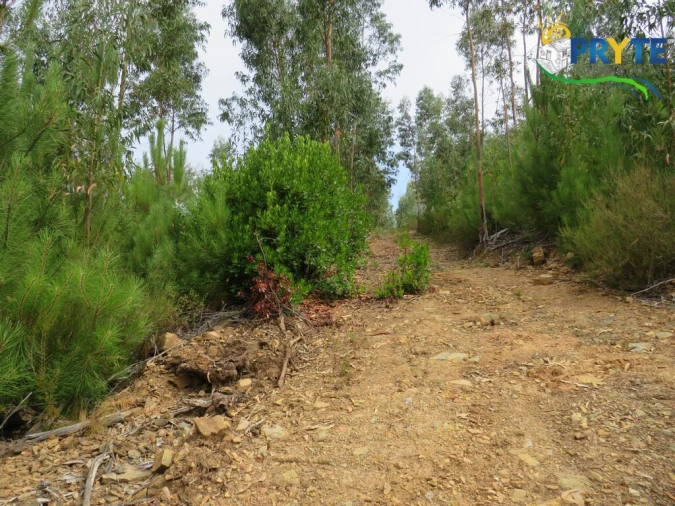 Quinta T3 para Venda em Oleiros-Amieira Foto 57