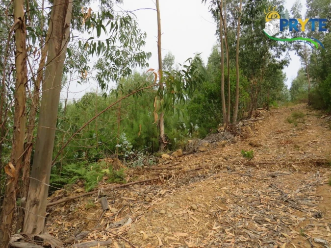 Quinta T3 para Venda em Oleiros-Amieira Foto 58