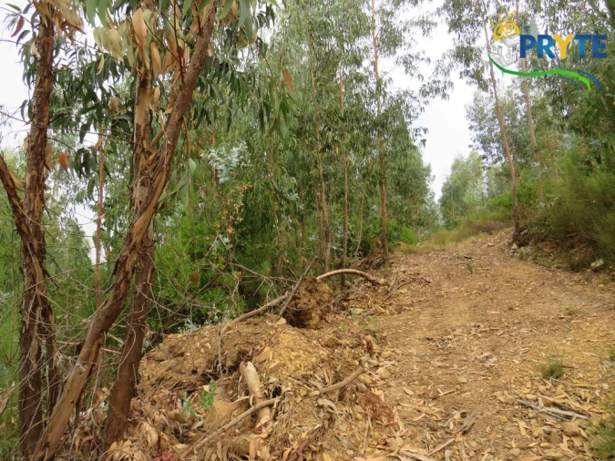 Quinta T3 para Venda em Oleiros-Amieira Foto 59