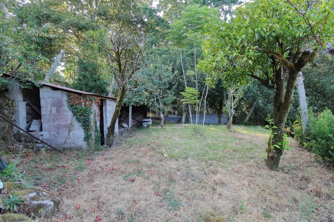 Moradia T2 para Venda em Boelhe Foto 11