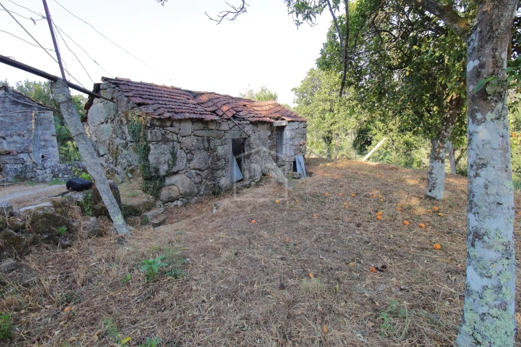 Moradia T2 para Venda em Boelhe Foto 15