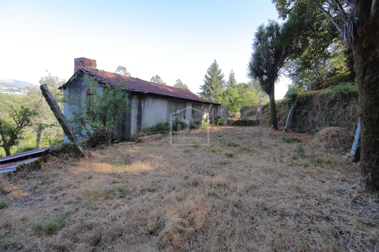 Moradia T2 para Venda em Boelhe Foto 9