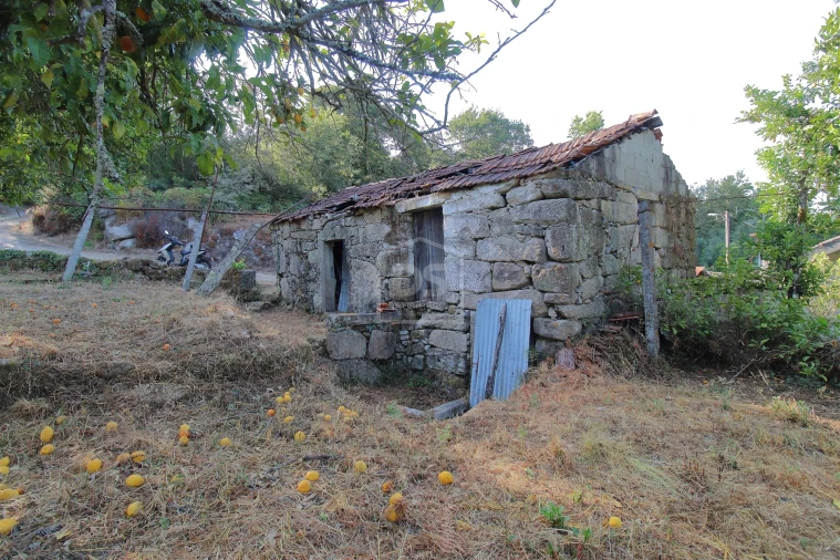 Moradia T2 para Venda em Boelhe Foto 18