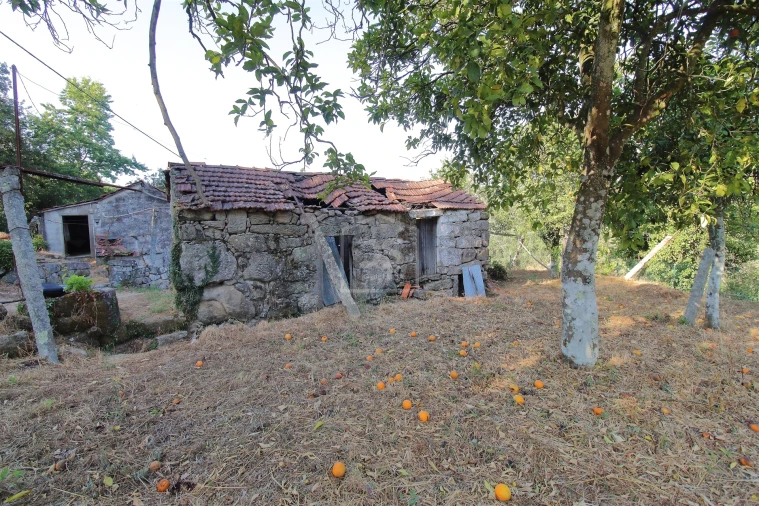 Moradia T2 para Venda em Boelhe Foto 16