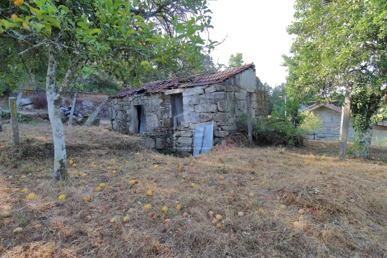 Moradia T2 para Venda em Boelhe Foto 17