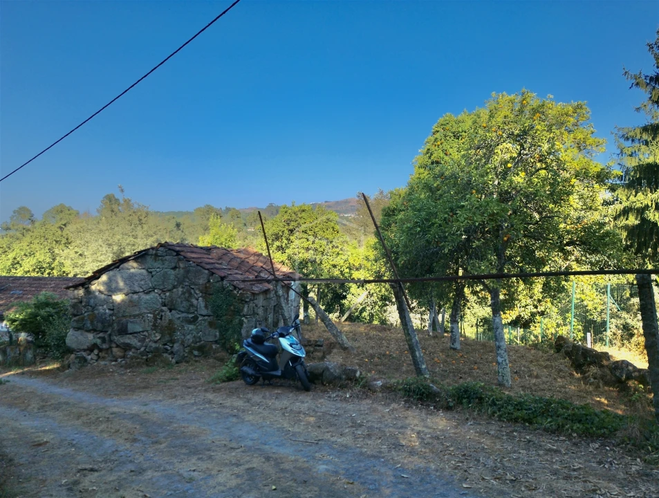 Moradia T2 para Venda em Boelhe Foto 23