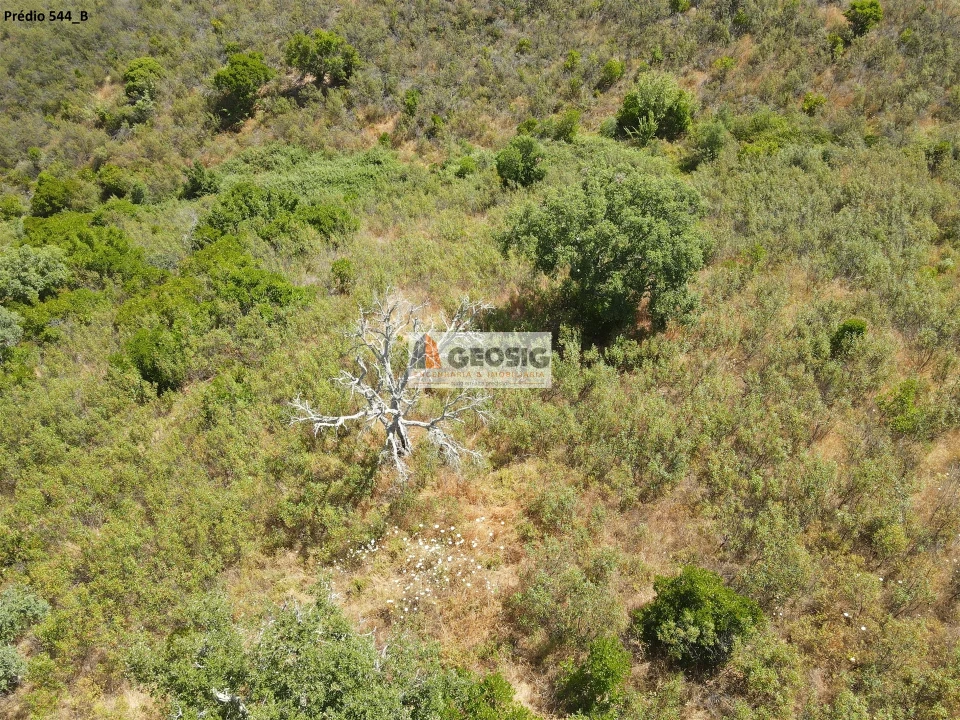 Terreno Agricola ou Rústico para Venda em São Barnabe Foto 13