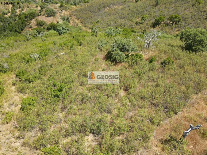 Terreno Agricola ou Rústico para Venda em São Barnabe Foto 11