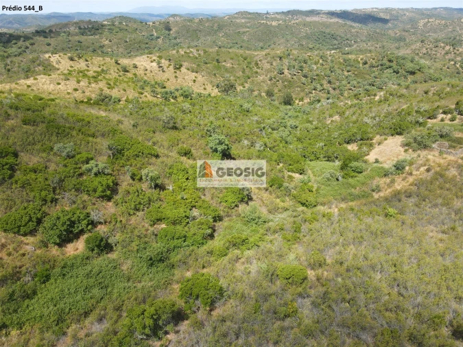 Terreno Agricola ou Rústico para Venda em São Barnabe Foto 19