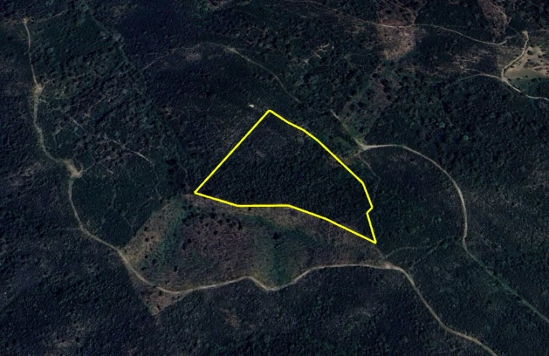 Terreno Agricola ou Rústico para Venda em São Barnabe Foto 20