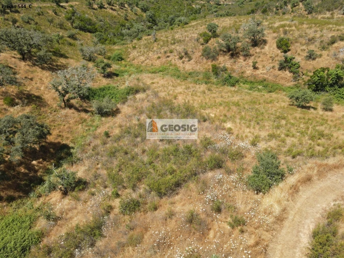 Terreno Agricola ou Rústico para Venda em São Barnabe Foto 5