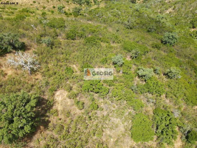 Terreno Agricola ou Rústico para Venda em São Barnabe Foto 16